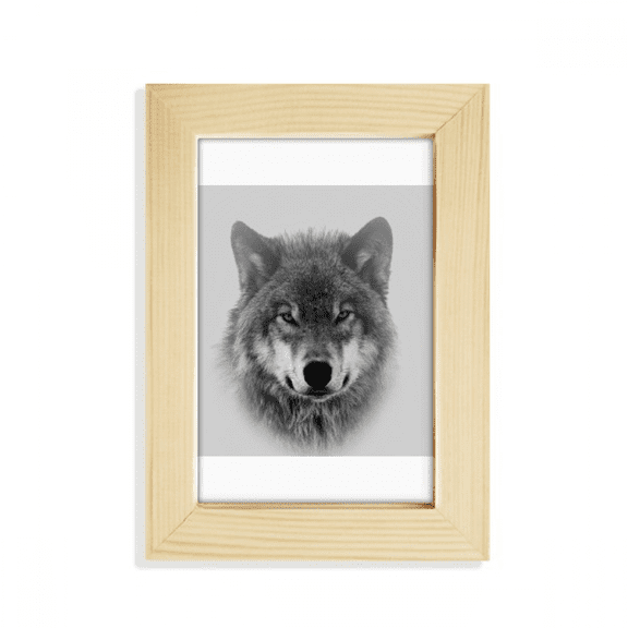 Gray Wolf Hunts Fiercely Art Deco Fashion Desktop Display Photo Frame Picture Art Painting 5x7 inch