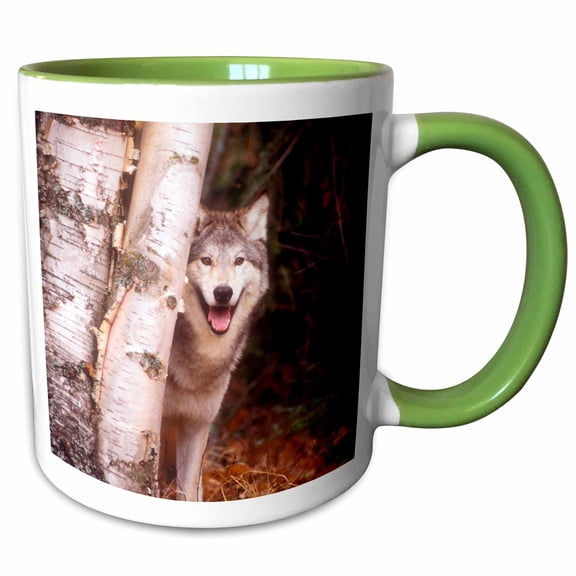 3drose, Gray Wolf in a Forest, 11oz Two-tone Green Mug