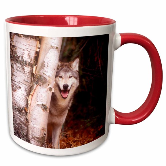 3drose, Gray Wolf in a Forest, 11oz Two-tone Red Mug
