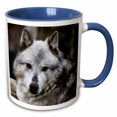 thumbnail image 1 of 3drose, Gray Wolf Looking Straight at You, 11oz Two-tone Blue Mug, 1 of 6