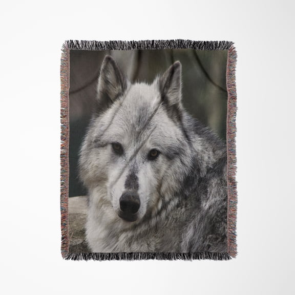 Gray Wolf Looking Straight At You, Woven Blanket