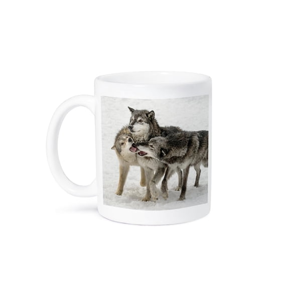 3drose, Gray Wolf or Timber Wolf, Pack Behavior. Winter, Captive. Montana., 11oz Mug