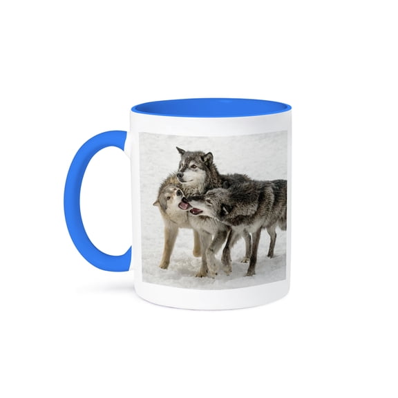 3drose, Gray Wolf or Timber Wolf, Pack Behavior. Winter, Captive. Montana., 11oz Two-tone Blue Mug