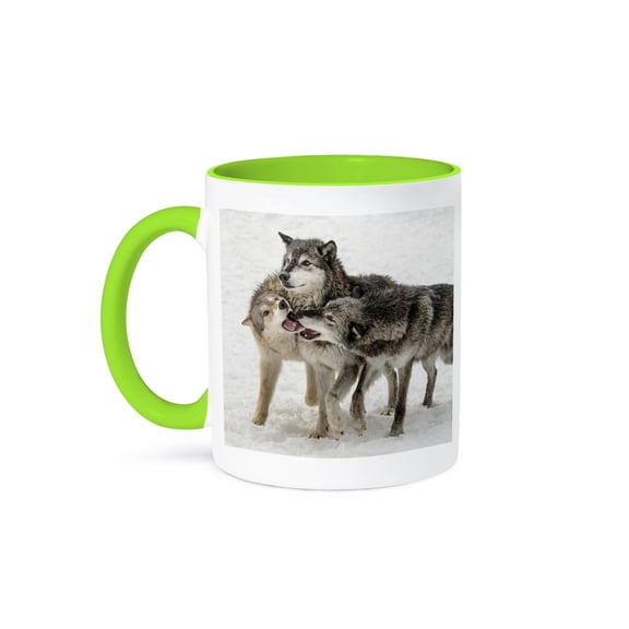3drose, Gray Wolf or Timber Wolf, Pack Behavior. Winter, Captive. Montana., 11oz Two-tone Green Mug