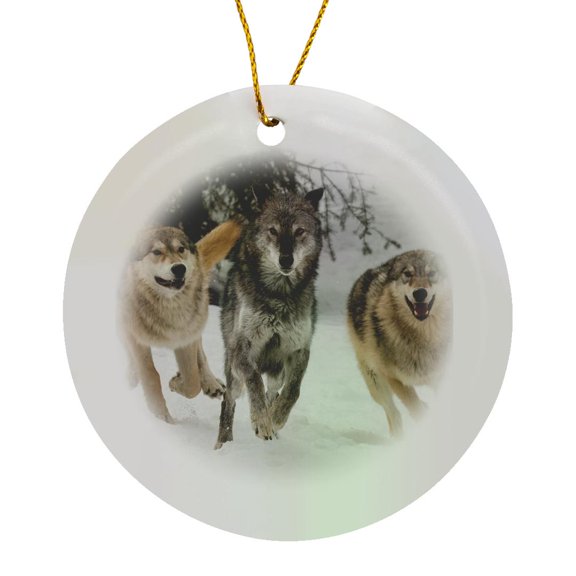 3drose, Gray Wolf Pack Behavior in Winter, Montana, Circle Porcelain Ornament