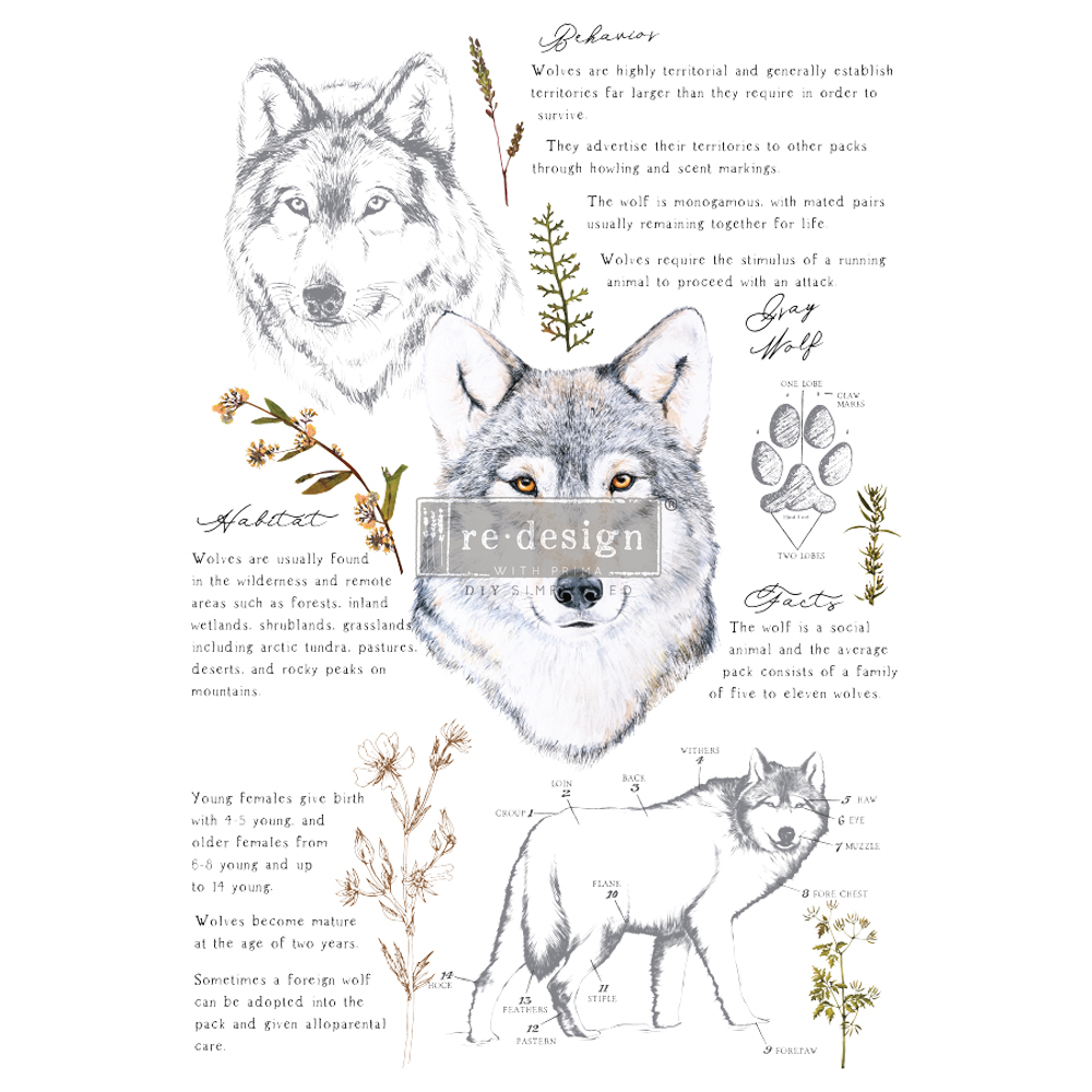 Gray Wolf Prima Redesign Transfer