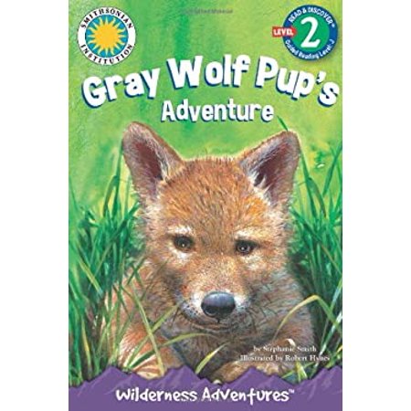 Pre-Owned Gray Wolf Pup s Adventure (Paperback) 1607278693 9781607278696