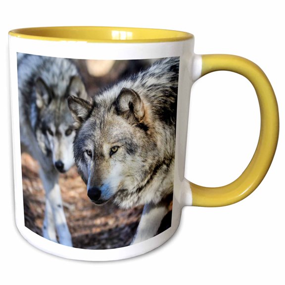 3drose, Gray Wolf with a Friend, 11oz Two-tone Yellow Mug
