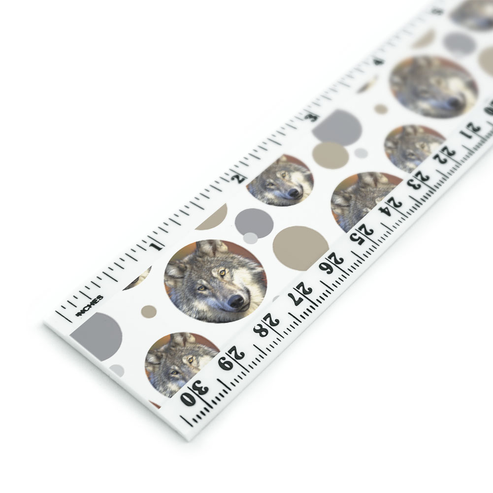 1320 Ruler Gray Wolf with Fall Background 12 Inch Standard and Metric Plastic ...