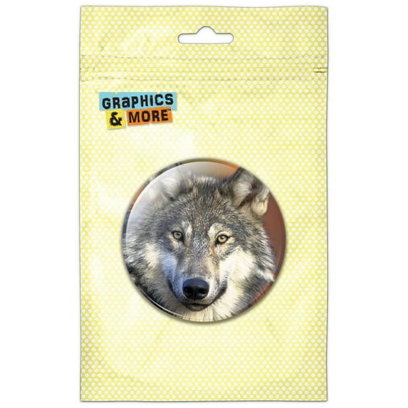 Gray Wolf with Fall Background Refrigerator Button Magnet