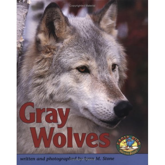 Pre-Owned Gray Wolves (Paperback) 0822530503 9780822530503