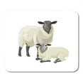 thumbnail image 1 of Gray Wool of Sheep Lamb Agriculture Attribute Big Bio Mousepad Mouse Pad Mouse Mat 9x10 inch, 1 of 3