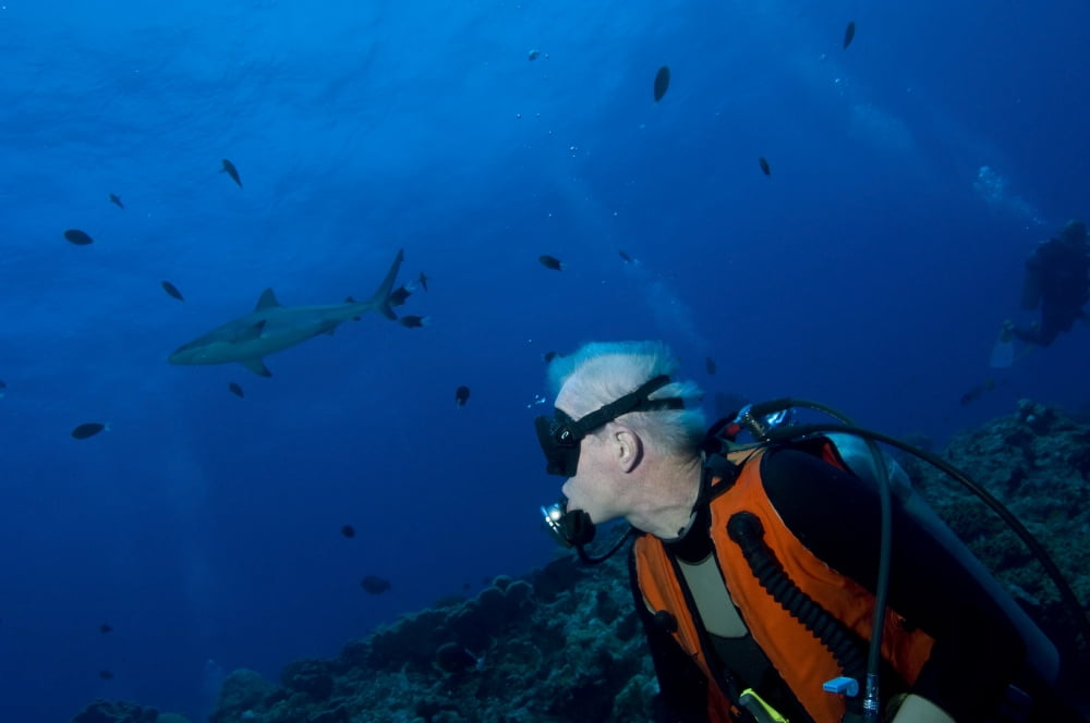 Gray reef shark with diver Papua New Guinea Canvas Art - Steve JonesStocktrek Images (35 x 23)