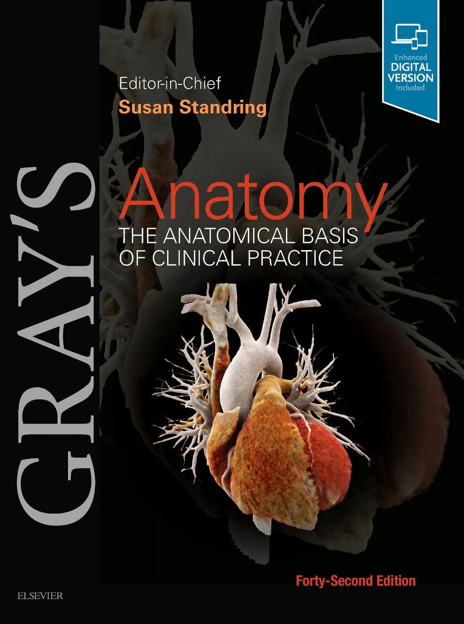 Gray's Anatomy - Walmart.com