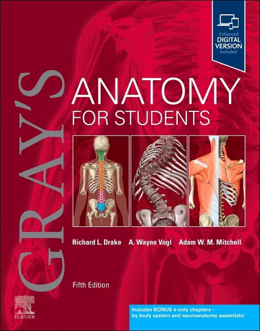 Gray's Anatomy Gray's Anatomy for Students, (Paperback)