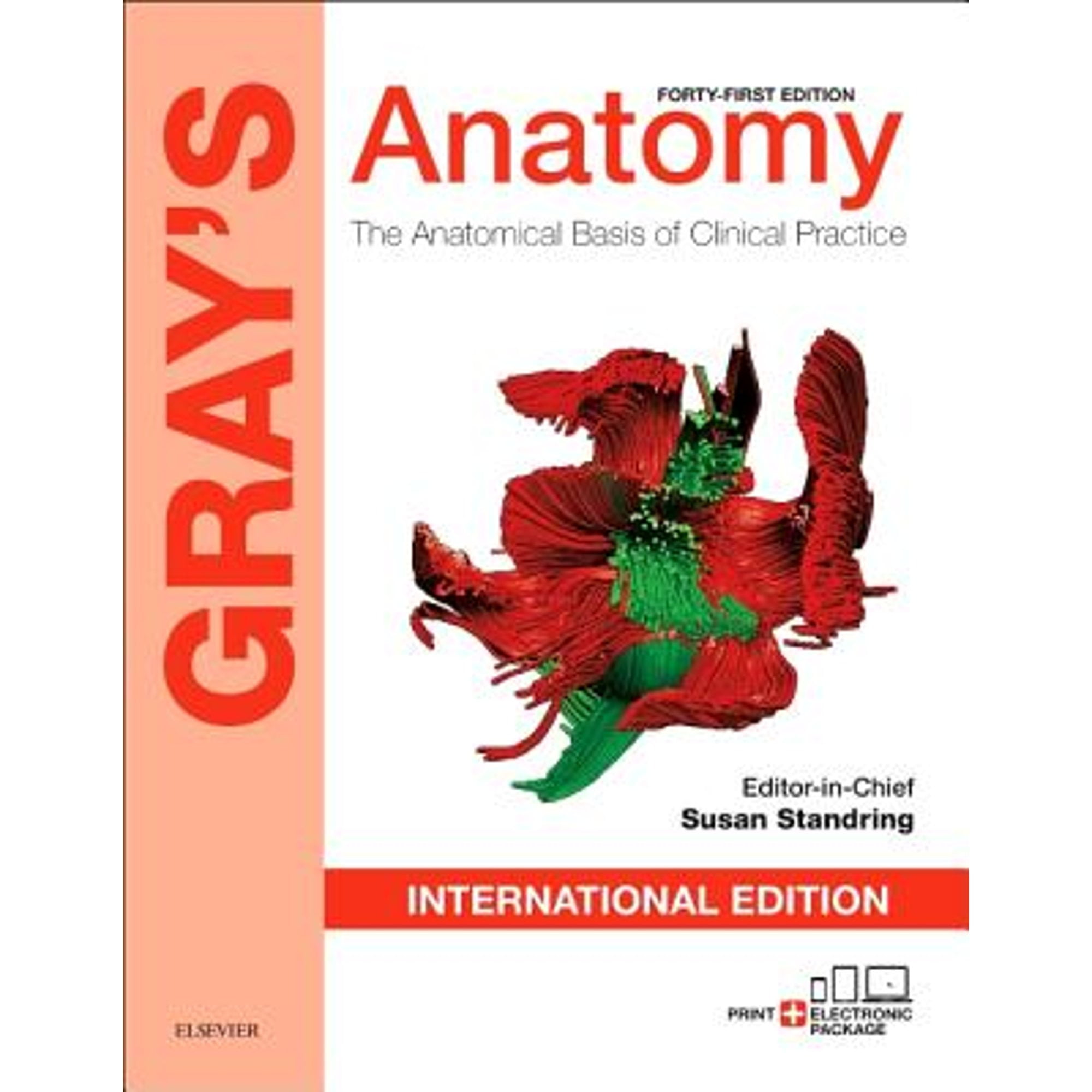 Gray's Anatomy : The Anatomical Basis of Clinical Practice