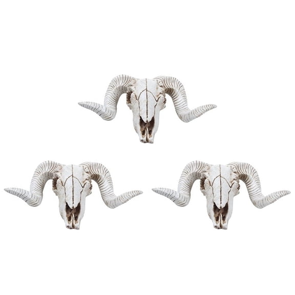 Grayish White Resin Sheep Head Skull Wall Hanging 3-Pack 3-Pack with Box