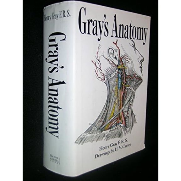 Pre-Owned Gray's Anatomy by Henry Gray (Hardcover), Health, Mind & Body, English