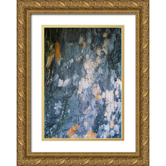 Grayscale 11x14 Gold Ornate Wood Framed with Double Matting Museum Art Print Titled - Bark Scales IV