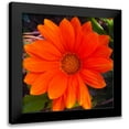 thumbnail image 1 of Grayscale 12x12 Black Modern Framed Museum Art Print Titled - Orange Wildflower I, 1 of 5
