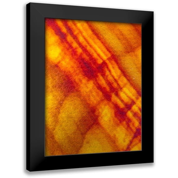 Grayscale 12x14 Black Modern Framed Museum Art Print Titled - Canvas Closeup VI