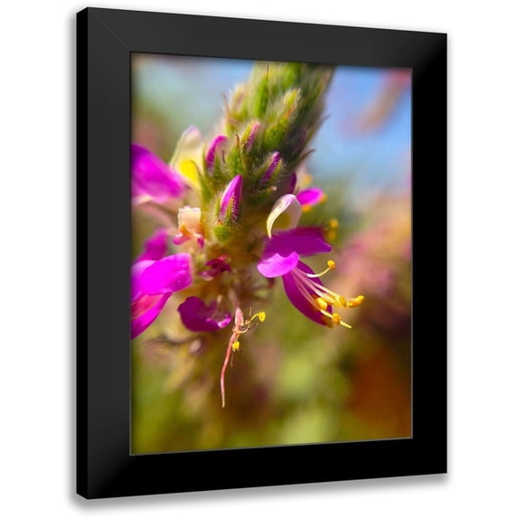 Grayscale 12x14 Black Modern Framed Museum Art Print Titled - Exploding Buds II
