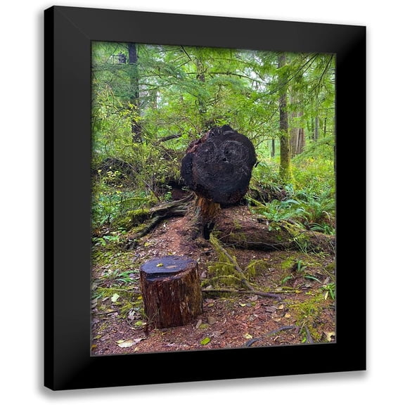 Grayscale 12x14 Black Modern Framed Museum Art Print Titled - Forest Happy Face III