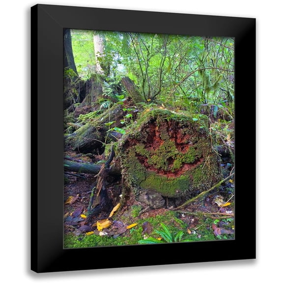 Grayscale 12x14 Black Modern Framed Museum Art Print Titled - Forest Happy Face II