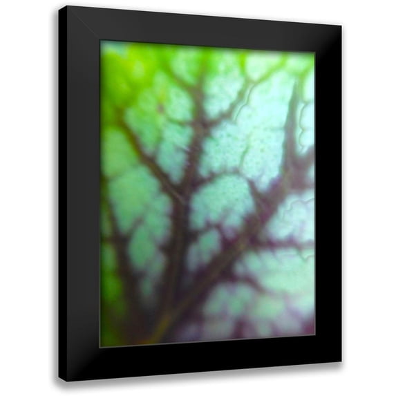 Grayscale 12x14 Black Modern Framed Museum Art Print Titled - Green Leaf VIII
