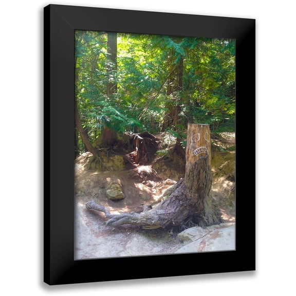 Grayscale 12x14 Black Modern Framed Museum Art Print Titled - Tree Face I