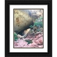 thumbnail image 1 of Grayscale 12x14 Black Ornate Wood Framed with Double Matting Museum Art Print Titled - Natural Bridge V, 1 of 4