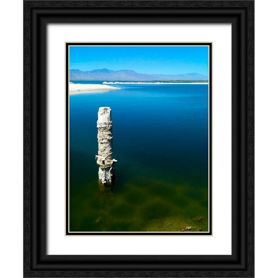 Grayscale 12x14 Black Ornate Wood Framed with Double Matting Museum Art Print Titled - Salton Sea I