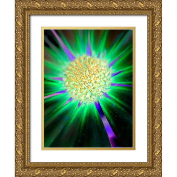 Grayscale 12x14 Gold Ornate Wood Framed with Double Matting Museum Art Print Titled - Nexus II