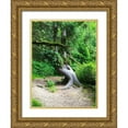 thumbnail image 1 of Grayscale 12x14 Gold Ornate Wood Framed with Double Matting Museum Art Print Titled - Rainforest IV, 1 of 4