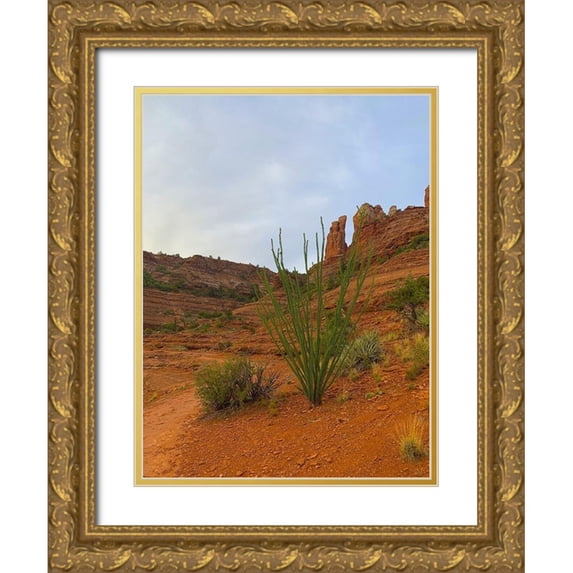 Grayscale 12x14 Gold Ornate Wood Framed with Double Matting Museum Art Print Titled - Sedona I