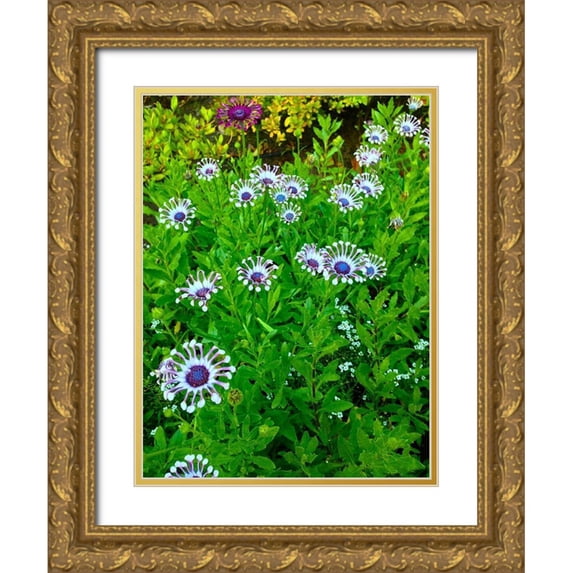 Grayscale 12x14 Gold Ornate Wood Framed with Double Matting Museum Art Print Titled - White and Purple I