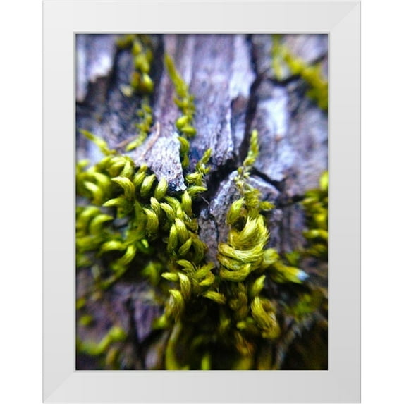 Grayscale 12x14 White Modern Wood Framed Museum Art Print Titled - Bark Hair I