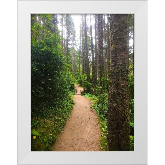 Grayscale 12x14 White Modern Wood Framed Museum Art Print Titled - Forest Bridge II
