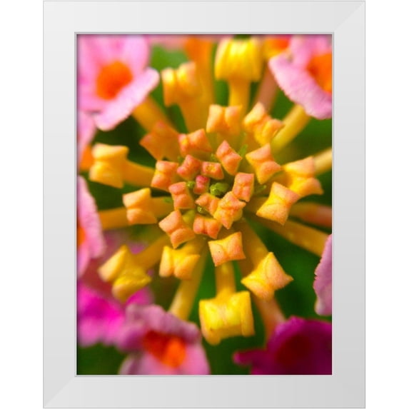 Grayscale 12x14 White Modern Wood Framed Museum Art Print Titled - Kaleidoscope I
