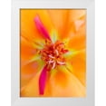thumbnail image 1 of Grayscale 12x14 White Modern Wood Framed Museum Art Print Titled - Orange Wildflower III, 1 of 4