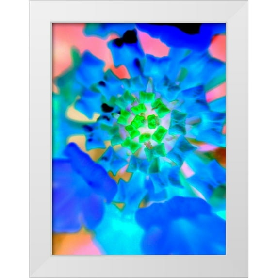 Grayscale 12x14 White Modern Wood Framed Museum Art Print Titled - Radial Bowties IV