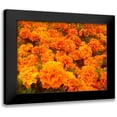 thumbnail image 1 of Grayscale 14x12 Black Modern Framed Museum Art Print Titled - Chrysanthemums I, 1 of 5