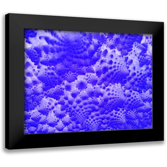 Grayscale 14x12 Black Modern Framed Museum Art Print Titled - Fractal Clouds I
