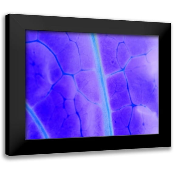 Grayscale 14x12 Black Modern Framed Museum Art Print Titled - Turquoise Ridge I