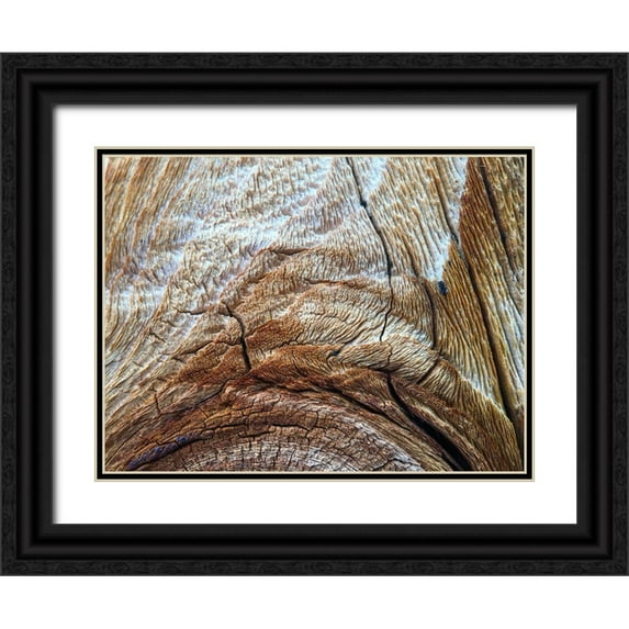 Grayscale 14x12 Black Ornate Wood Framed with Double Matting Museum Art Print Titled - Bark Arc I