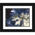 thumbnail image 1 of Grayscale 14x12 Black Ornate Wood Framed with Double Matting Museum Art Print Titled - Dusty Miller I, 1 of 4
