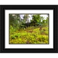 thumbnail image 1 of Grayscale 14x12 Black Ornate Wood Framed with Double Matting Museum Art Print Titled - Miniature Forest I, 1 of 4
