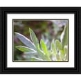 thumbnail image 1 of Grayscale 14x12 Black Ornate Wood Framed with Double Matting Museum Art Print Titled - Silver Leaves I, 1 of 4