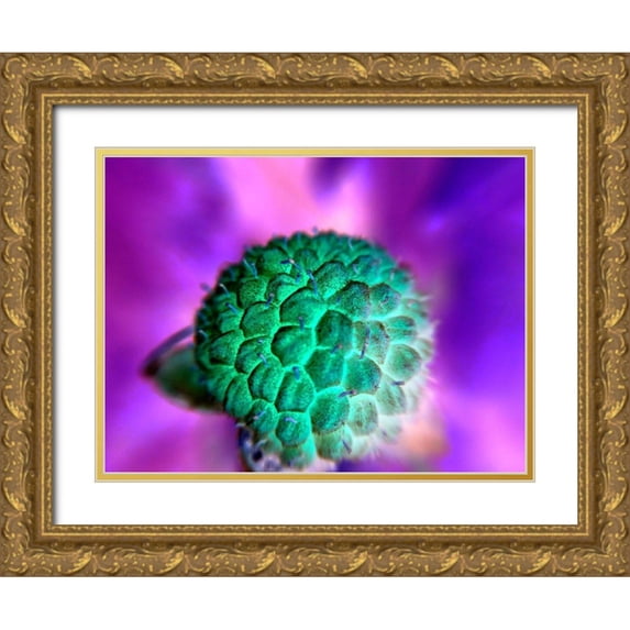 Grayscale 14x12 Gold Ornate Wood Framed with Double Matting Museum Art Print Titled - Bright Cluster I