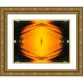 thumbnail image 1 of Grayscale 14x12 Gold Ornate Wood Framed with Double Matting Museum Art Print Titled - Butterfly Eye I, 1 of 4